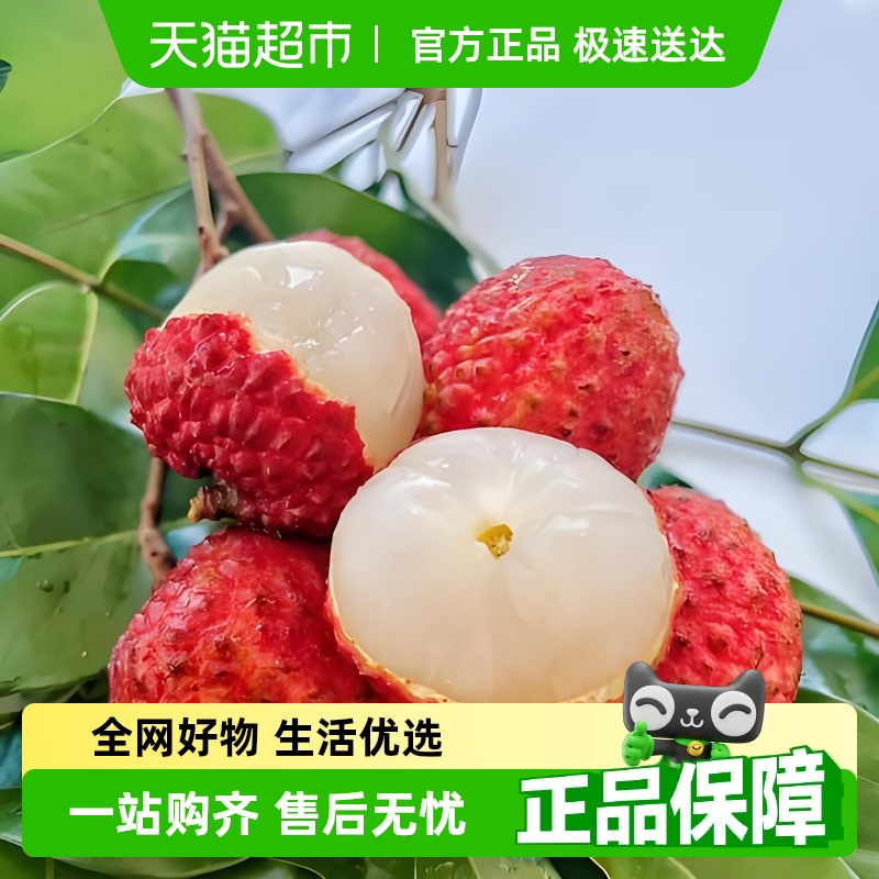 增城本土仙进奉荔枝现摘现发特快空运带软枝保鲜发货