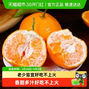 四川春见耙耙柑新鲜水果柑橘橘子当季新鲜香甜桔子水果整箱