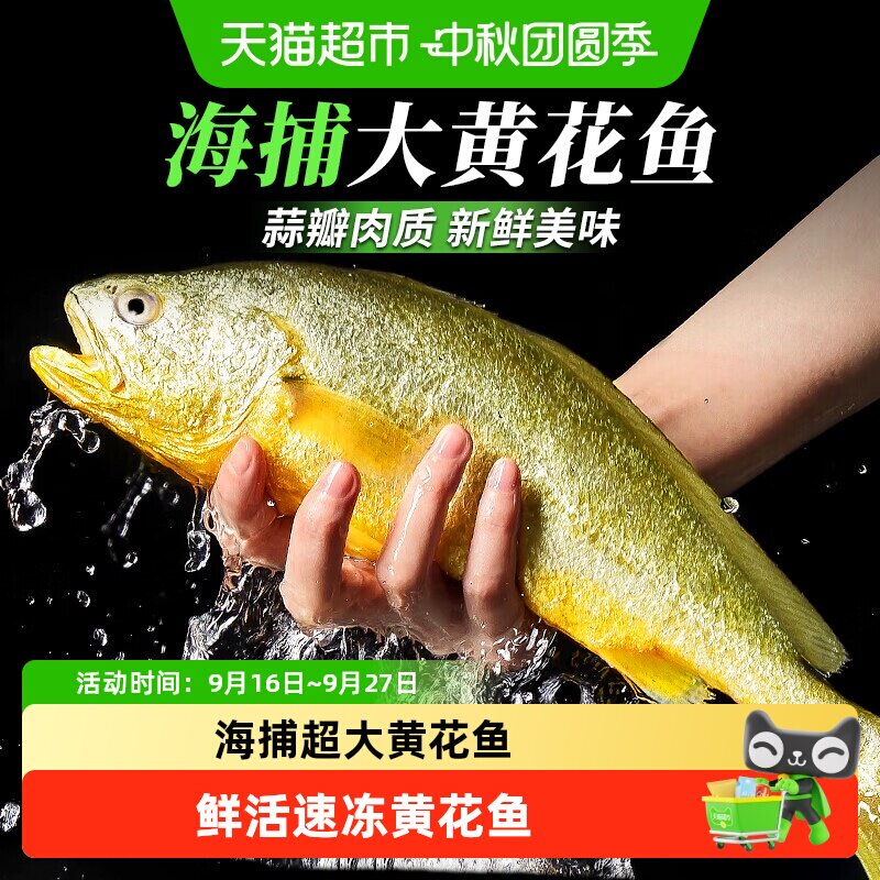 深海黄花鱼新鲜急冻图片