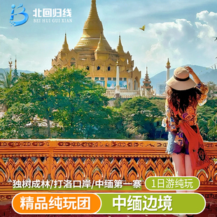 西双版纳旅游中缅边境 勐景来+独树成林+打洛国门纯玩一日游