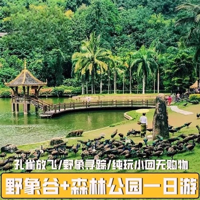 【一单一团不拼人】云南西双版纳旅游野象谷+森林公园纯玩一日游