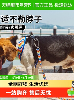 IS PET/Bond for love宠物牵引绳电光火石款遛狗绳