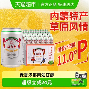 内蒙特产 拉格啤酒整箱 24听经典 雪花啤酒海拉尔特制11度330