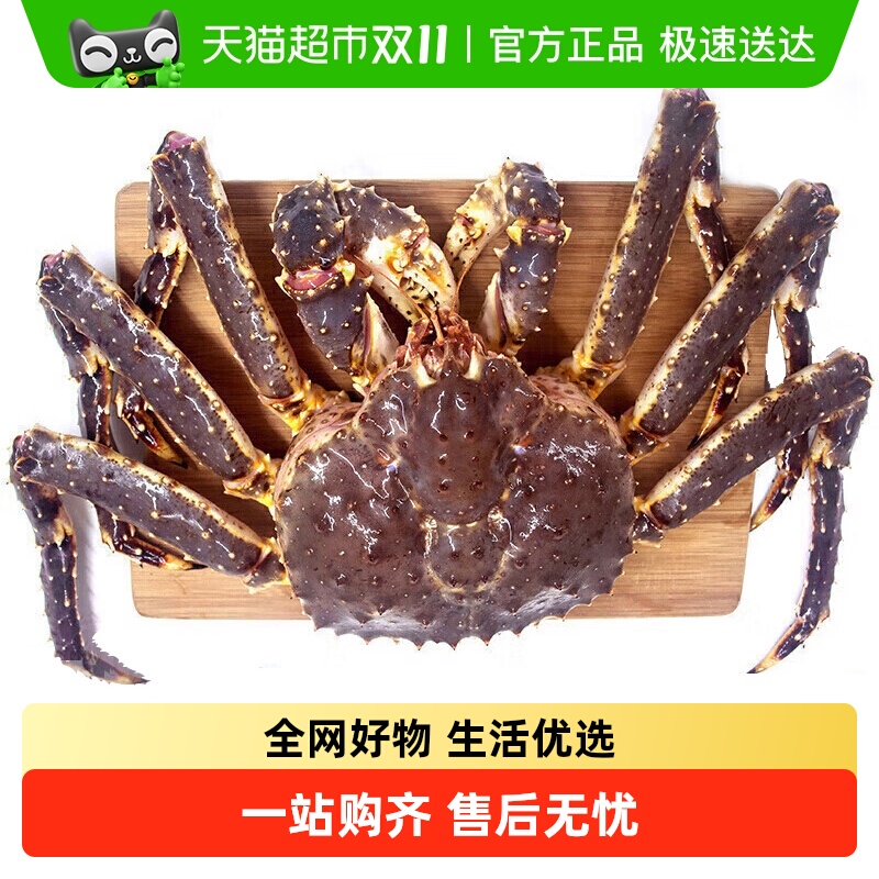 渔传播包活到家帝王蟹