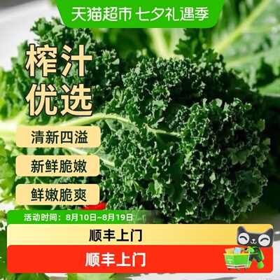 胡鲜森顺丰现摘羽衣甘蓝新鲜多汁