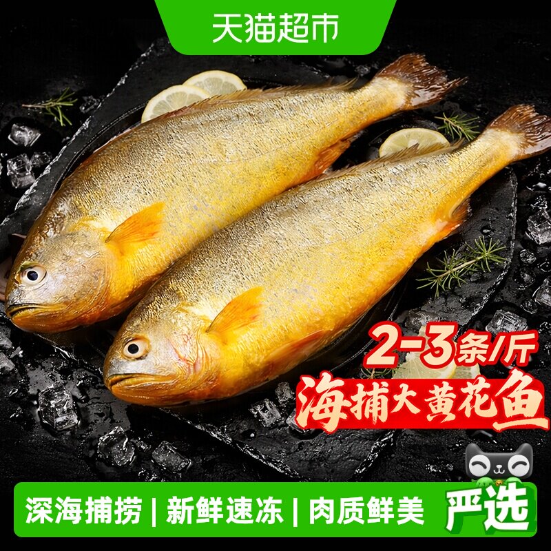 其他大黄花鱼冷冻锁鲜紧实弹嫩图片
