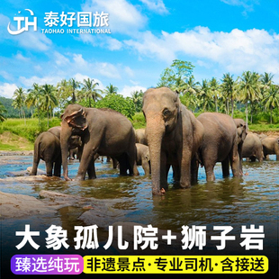 斯里兰卡科伦坡一日游出发品纳瓦拉大象孤儿院锡吉里耶狮子岩旅游