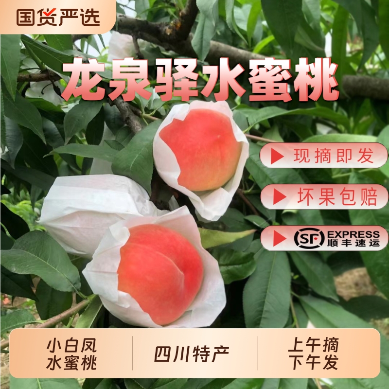 蔬果正宗龙泉驿水蜜桃当季新鲜水果晚湖景小白凤顺丰包邮现摘十足