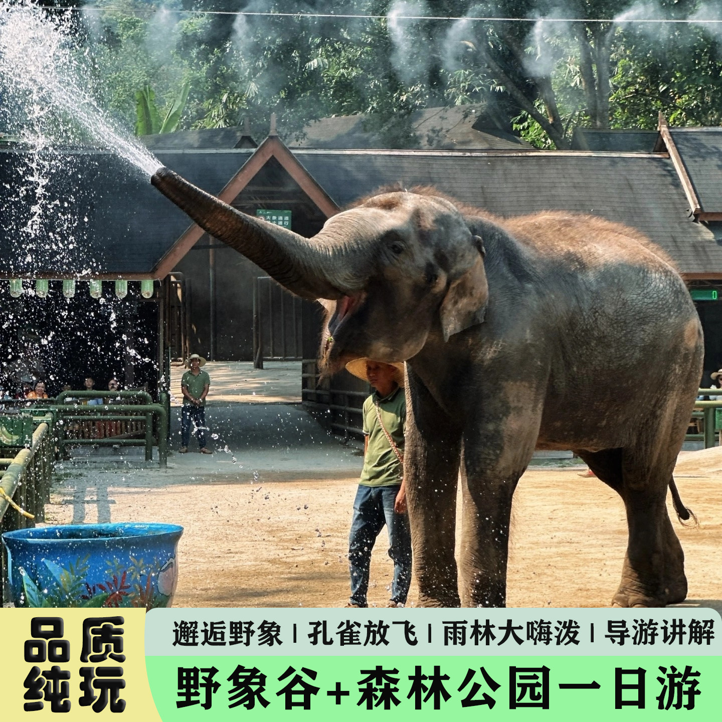 云南西双版纳野象谷＋森林公园一境内跟团游
