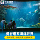 大门票 门票 泰国曼谷暹罗海洋世界海底世界水族馆门票 暹罗海洋世界