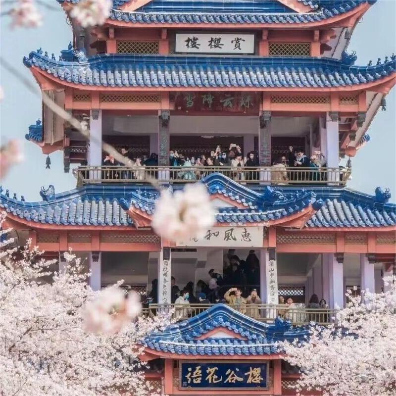 南京中山陵/夫子庙+无锡鼋头渚+周庄水乡古镇跟团游3天2晚