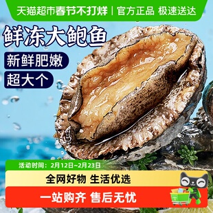 云储生活鲍鱼新鲜冷冻鲍鱼肉大号鲍鱼鲜鲍福建小鲍鱼火锅食材海鲜