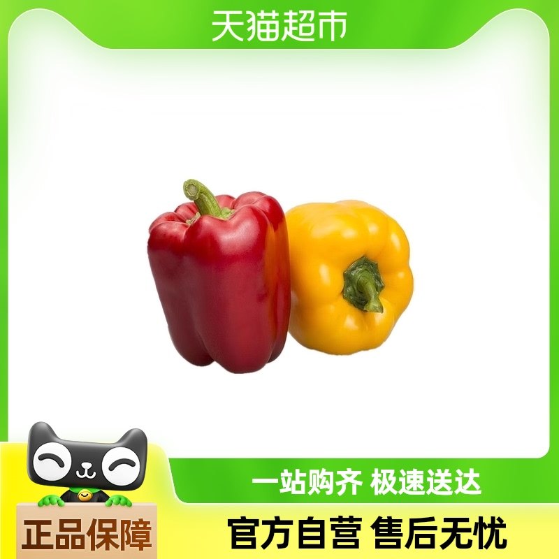 ���Բ��500g*1������Բ�����ӽ�̫�ս����ˮ����ɽ�߲�ɳ��