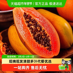 木瓜新鲜下奶水果红心牛奶整箱当季应季孕妇冰糖青树上自然熟