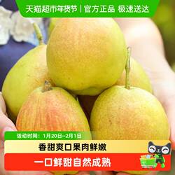 正宗新疆库尔勒香梨全母梨子新鲜孕妇水果整箱