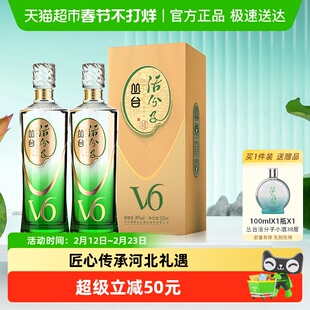丛台 活分子(V6) 浓香型白酒 39度 500ml*2瓶 纯粮酒 自饮送礼