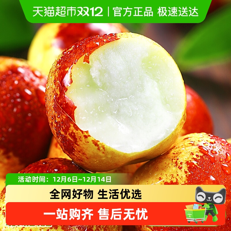 顺丰沾化冬枣当季脆甜青枣