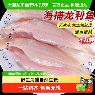 青岛龙利鱼去皮去内脏新鲜冷冻舌头鱼特大牛舌鱼鳎目鱼