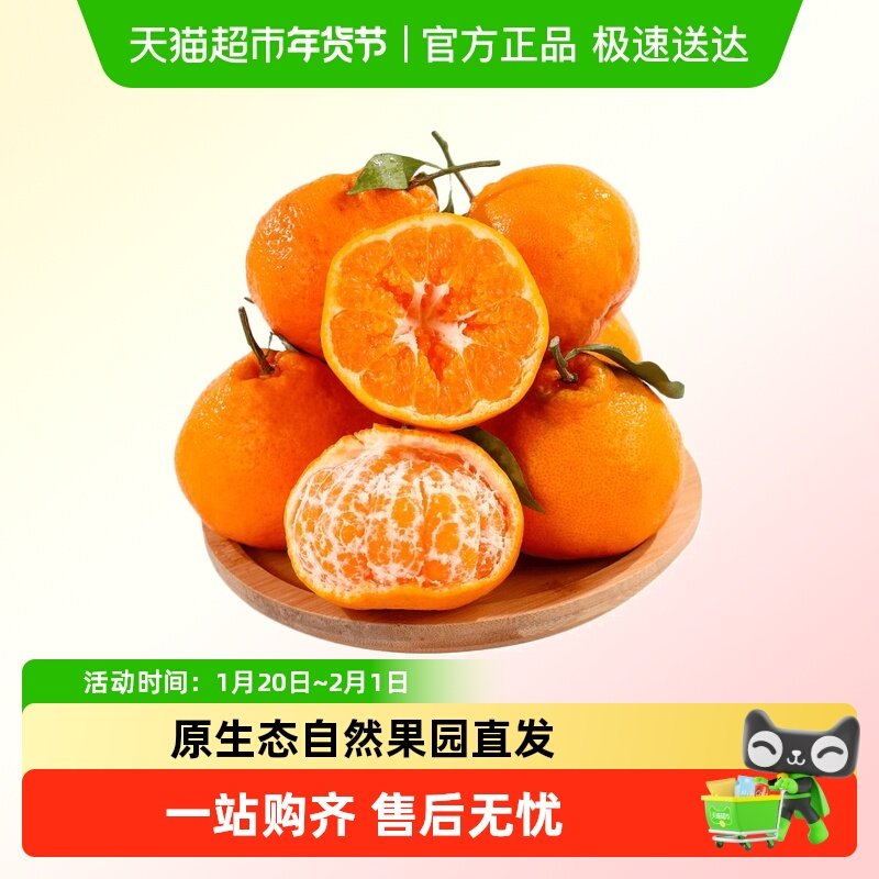 四川春见耙耙柑果肉饱满无籽清甜多汁超新鲜水果应季鲜货,水产肉类/新鲜蔬果/熟食,桔子,淘宝优惠券,粉丝福利购,淘宝优惠卷