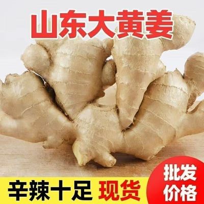 正宗现挖现发山东生姜老姜大姜新鲜农家黄姜月子干姜农家种植姜块