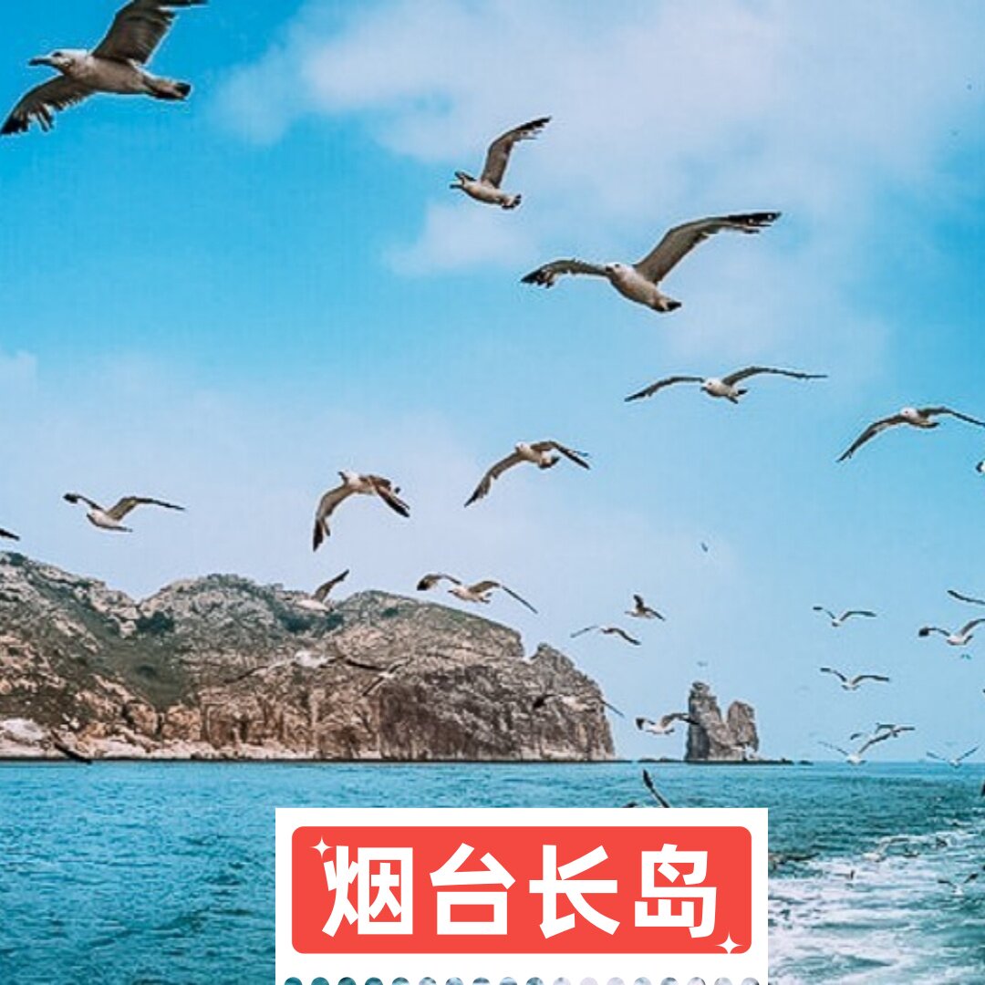 长岛养马岛4日