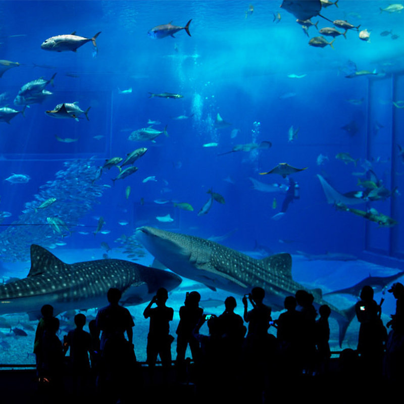 日本·冲绳·东北单次旅游签证·上海送签·【领馆指定送签社·新世界