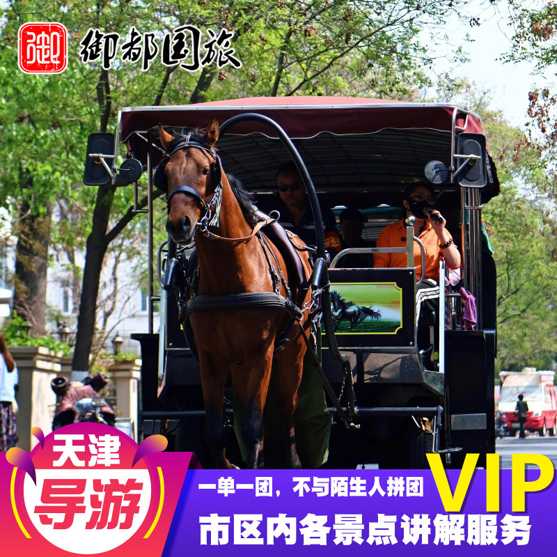 天津旅游中英文外语导游私家一对一讲解瓷房子讲解纯玩团攻略相声