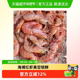 浙奉渔东海野捕红虾 新鲜船冻海虾 无包冰渔民宝宝辅食无添加无抗