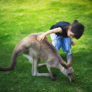 马戏表演 福州福清永鸿野生动物园门票 大门票 无动力乐园 永鸿野生动物世界