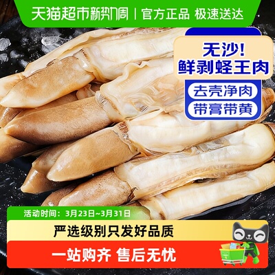 蛏子肉新鲜超大蛏子王