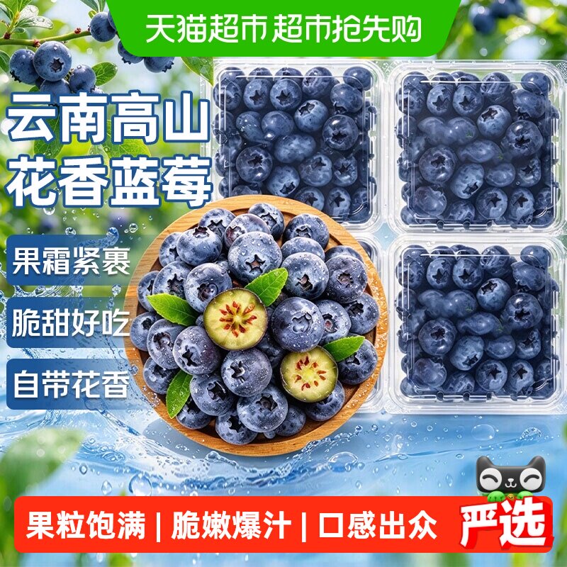 云南高山蓝莓应当季新鲜水果特大果礼盒整箱京运达怡佳颗沃