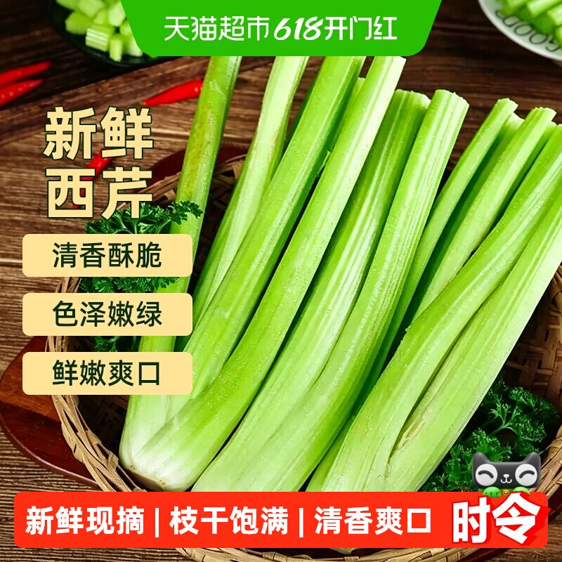 新鲜西芹芹菜大颗现摘榨汁专用果蔬山东寿光时令绿色蔬菜