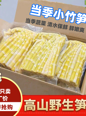 春笋竹笋新鲜清水笋小竹笋尖雷笋野山笋罗汉笋无笋衣火锅笋批发