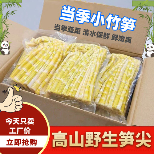 春笋竹笋新鲜清水笋小竹笋尖雷笋野山笋罗汉笋无笋衣火锅笋批发