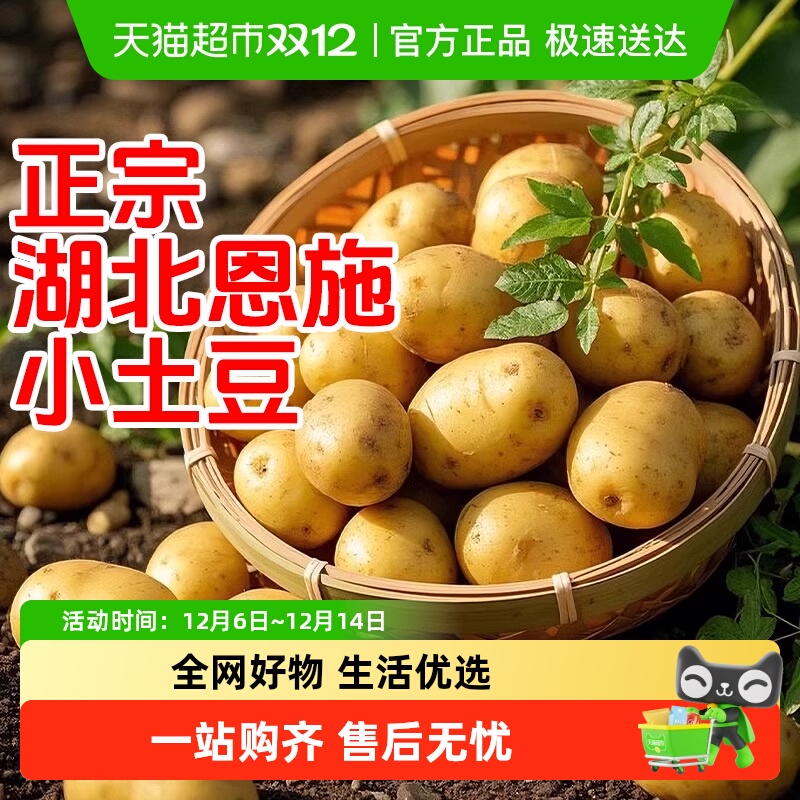 德沃多恩施小土豆当季蔬菜