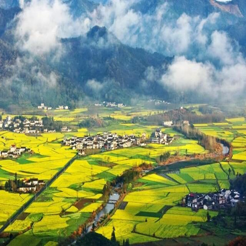 安徽黄山九华山西递宏村千岛湖婺源新安江徽州古城8天7晚跟团旅游