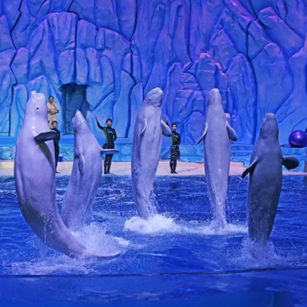 [珠海长隆海洋王国-1日门票]刷身份证入园