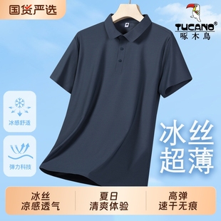 冰丝短袖 夏季 啄木鸟男士 t恤男款 爸爸运动上衣 2025新款 翻领polo衫