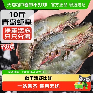 大虾鲜活超大基围虾特大青虾冷冻青岛鲜对虾速冻海虾虾类海鲜水产