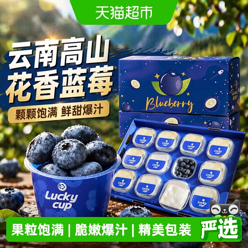 云南高山花香蓝莓杯应当季新鲜水果特大果礼盒整箱京运达怡佳颗沃
