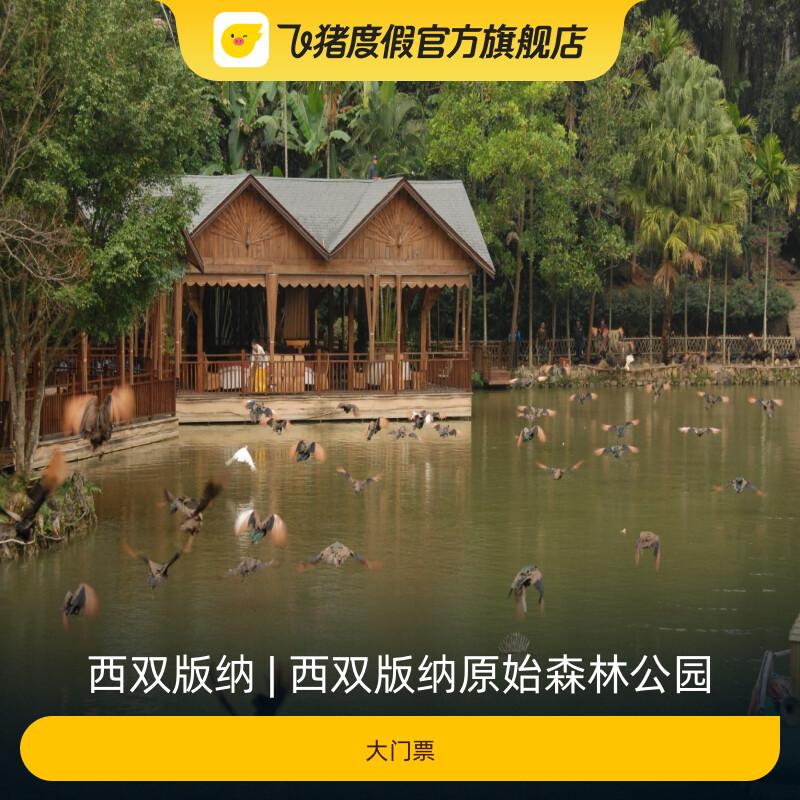 [西双版纳原始森林公园-大门票]-