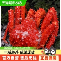 智利超大智口熟凍海鮮蟹腿帝王蟹