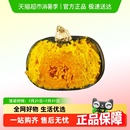 林依轮直播间 敬鲜生正宗贝贝南瓜粉糯香甜宝宝辅食