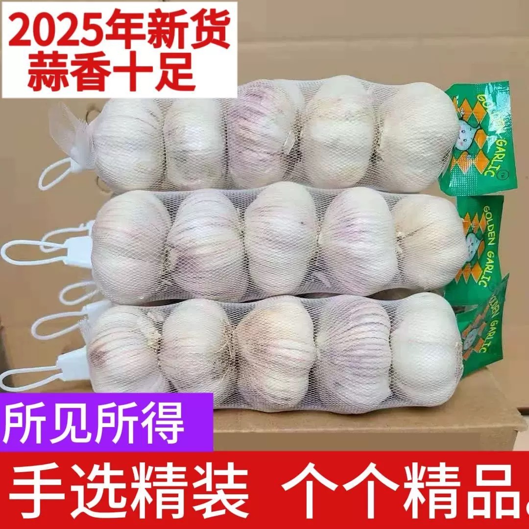 2025农家网兜装新干蒜大蒜头紫白皮新干蒜多瓣蒜新鲜蔬菜直发包邮