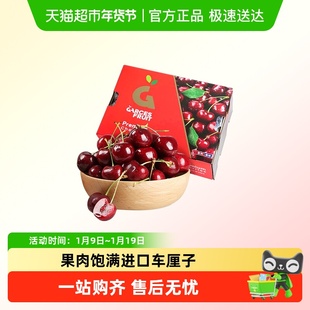 智利进口原箱车厘子当季鲜果海运