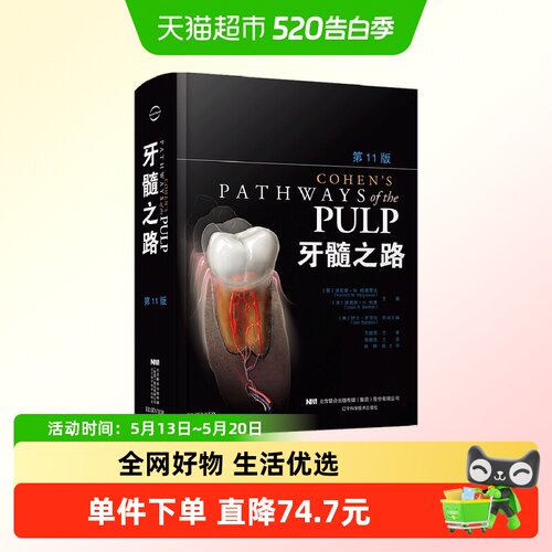 牙髓之路 第十一版正版书籍