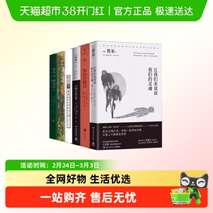 心灵诗人鲁米诗集 醒来的人在春天走进果园偷走睡眠的人正版书籍