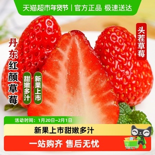 丹东99草莓红颜奶油草莓当季新鲜水果【详情领优惠】