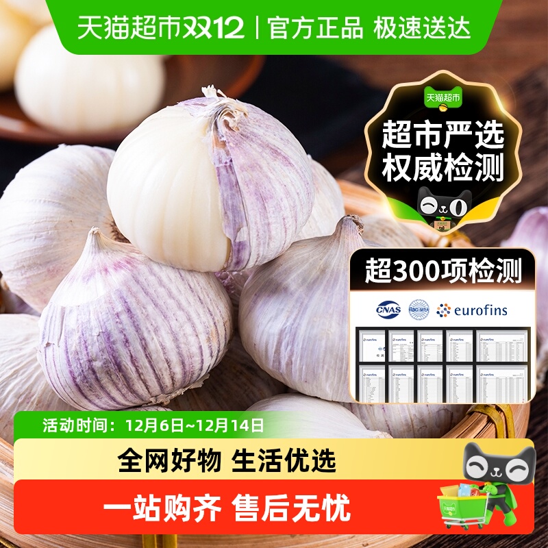 玲珑岭紫皮独头蒜新鲜非干瓣蒜