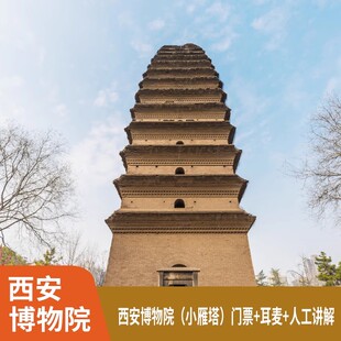 西安博物院+小雁塔大咖深度讲解 纯玩2H门票+人工讲解  私家团